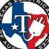 texaselectricalservices