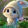 amoul_537