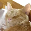 userw4yrlcwrx1