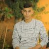 alnser_n30