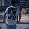 isl_am213