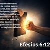serrato324