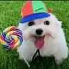 dopdopyesss