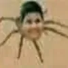 noseakdjshhd