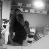 alma.ellehave