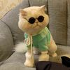 maylypets
