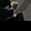 panda_gemoy317