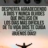 margotflores22