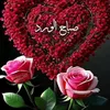 lppo_3