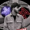editor_gardiii