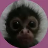 blsnka99