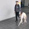 novak_99_