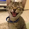 sylwia_468