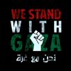 wadoud550