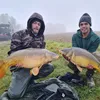 carpcoprs