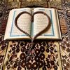 farhiyo.mohamed157