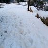 hadil_alhaj4
