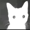 .o22o33_