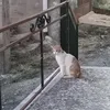panos_cala