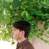 jutt563452