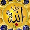 user5461304203219