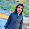king.shelmani