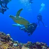 kjdiving