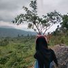 mittato_