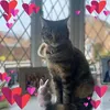 hi_its_becca31