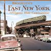 bklynharlem