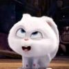 username.monc