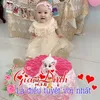 nvt__77