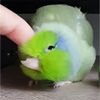 hyunnieisbored