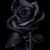 blackrose555_