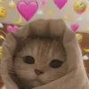 chai_____mae2000