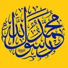 user3385570681830