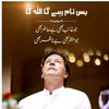 sadamhussain.1436