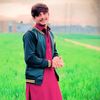shahabjani655
