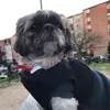 richardhernymonto
