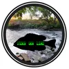 fish_on_line