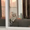 opendkdm0