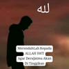 muhammadilhamns01