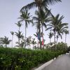 eve_larocque