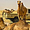 mohamedboualhagfjjgbbdh