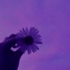 em1ne._nurr