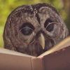 owlenjoyerwstolassauce
