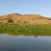 s2489384