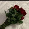 zxcvlo_07