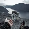 bestversion6886