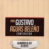 gustavoaguas74